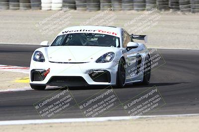 media/Aug-23-2024-Speed Ventures (Fri) [[92f1efc5e7]]/Green/Session 1 (Turn 3)/
